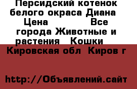 Персидский котенок белого окраса Диана › Цена ­ 40 000 - Все города Животные и растения » Кошки   . Кировская обл.,Киров г.